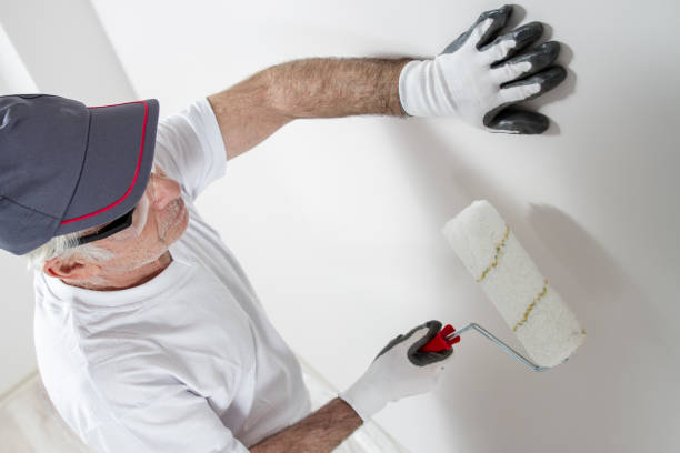 Best Commercial Mold Inspection  in Wells, NV