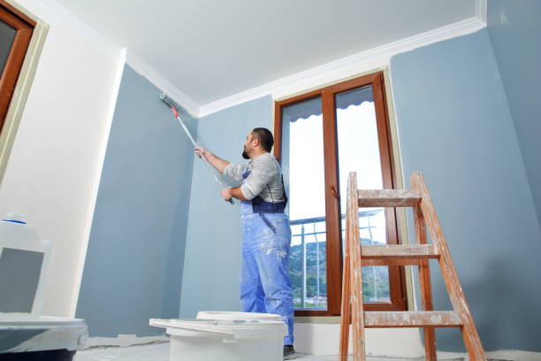 Best Mold Damage Restoration  in Wells, NV