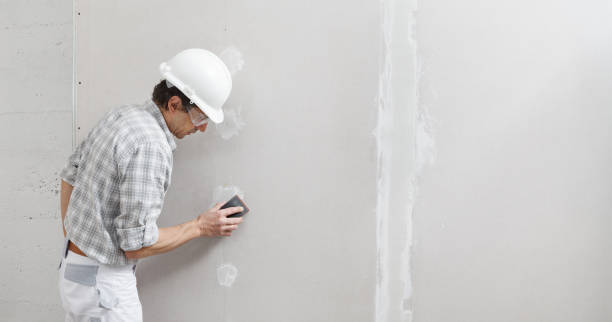  Wells, NV Mold Removal Pros
