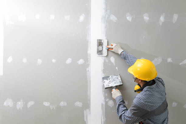 Best Water Damage & Mold Remediation  in Wells, NV
