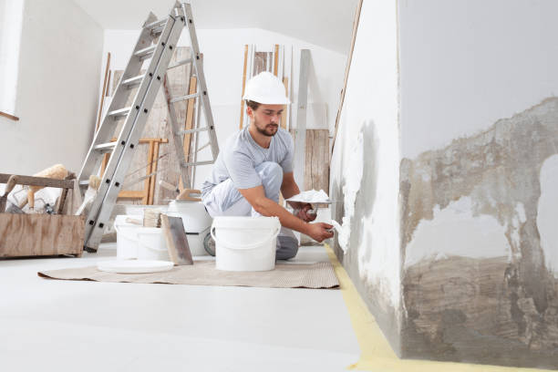 Best Air Quality Testing for Mold Spores  in Wells, NV