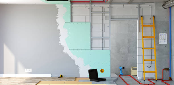 Best Forensic Mold Investigation  in Wells, NV