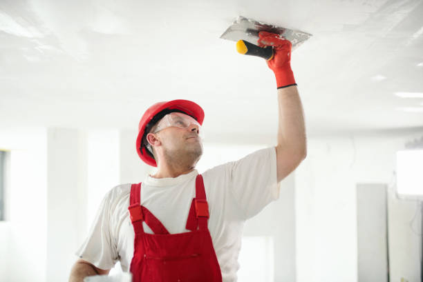 Best Crawl Space Mold Remediation  in Wells, NV