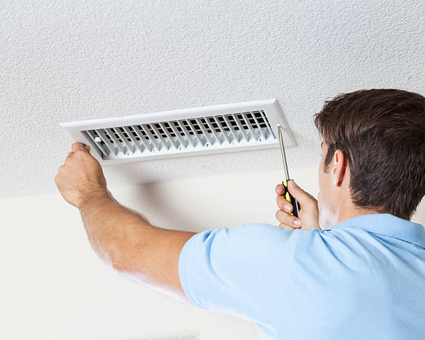 Best Mold Removal for HVAC Installations  in Wells, NV