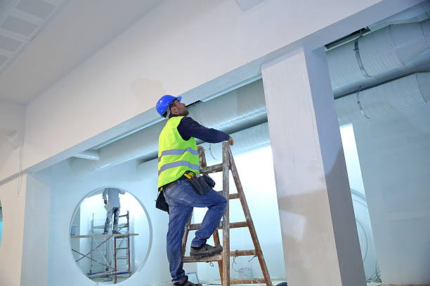 Best Biohazard Mold Removal  in Wells, NV