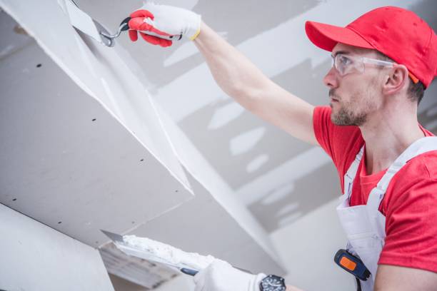 Best Black Mold Removal  in Wells, NV